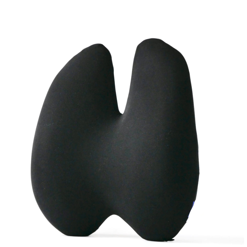 EaseFlow™ Orthopedic Lumbar Cushion