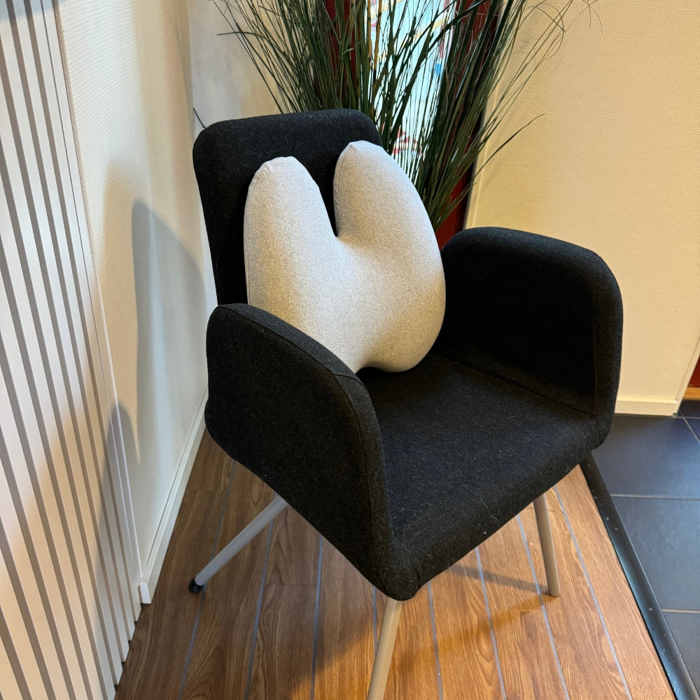 EaseFlow™ Orthopedic Lumbar Cushion